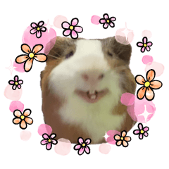 charo family_20260424014845