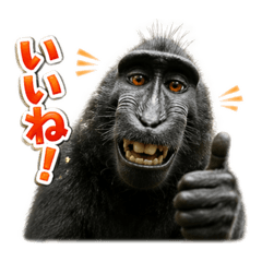 SHINICHI_20260424035407