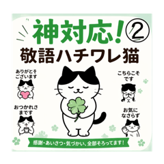 odayakamaigo_20260424035038