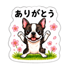 yoo26_20260424085934