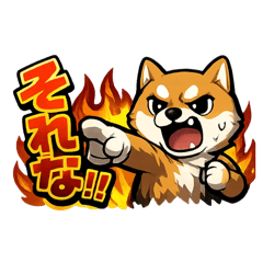 dakkya_20260424051607