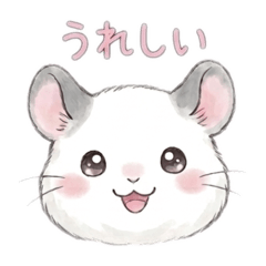 fuwatto studio_20260424091421