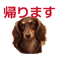 apollo_20260424123514