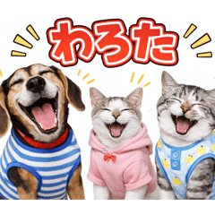 ozipo_20260419214303