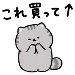 Manu和Manul貓的日常生活