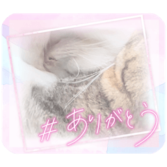 hitohito_20260424100809