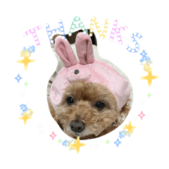 omaruman_20260424112510