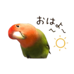 sammy_20260424112142