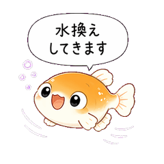 Welcome to Medaka Swamp