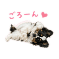 milk.love_20260424135325