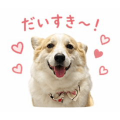 SHIYUA_20260424135412