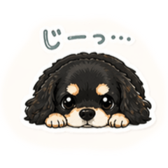 キャバリアすたんぷ！