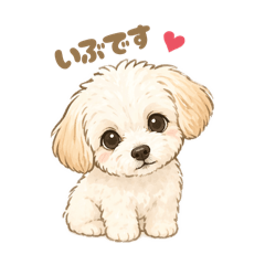 uranoC_20260424145334