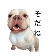 Sumisu family_20260424150455