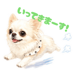 NOANN_20260424150236