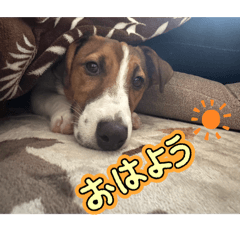 Shizuku_20260424150616