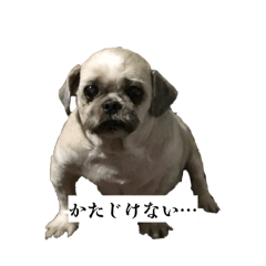 URURA_20260424150643