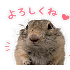 makoto_20260424150241