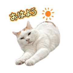 SUIJIN_20260424114116