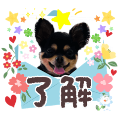 ancoconopapa_20260424113948