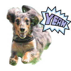 Kotetsu_20260424115403