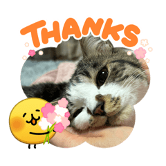 Naopaaaaaan_20260424115219