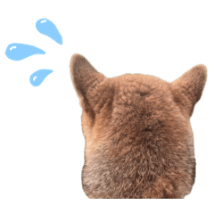 koyuki_20260424152624