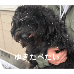 Jirin_20260424152656