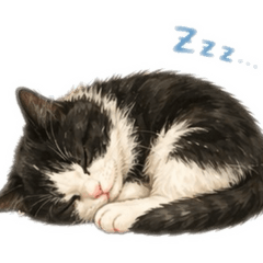 Shimano Seiyu_20260424163430