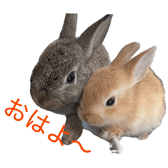 Koume_20260424164546