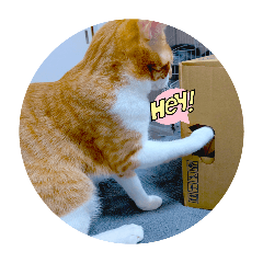 yukio_20260424163342