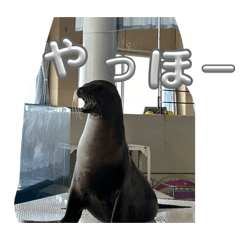 ritsu_20260424164248