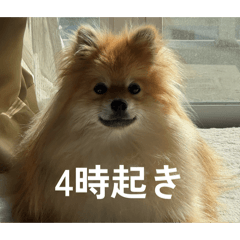 Shunta_20260424174604