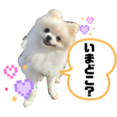 Rily.Lulu_20260424180245