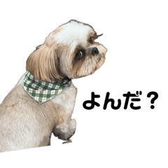 miyuki_20260424180110