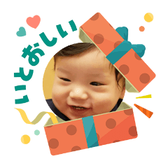 bonito_sumo_20260424180118