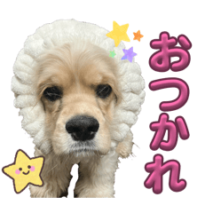 mayumm_20260424180235