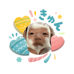 shiho_20260424131057