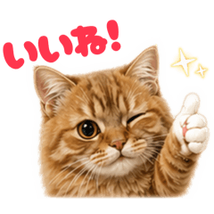 tarte&doraemon_20260424132241