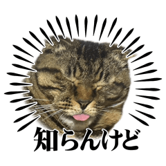 naaaa_20260424132238