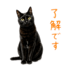 NAKANO_20260424131749