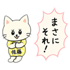 SATO CAT_20260424140732
