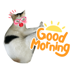 Titlemuhaha_20260424143559