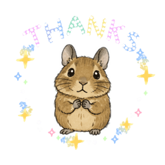 CANDY_20260424140649