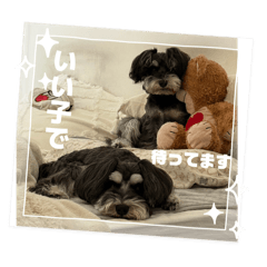 Mutchi_20260424142359