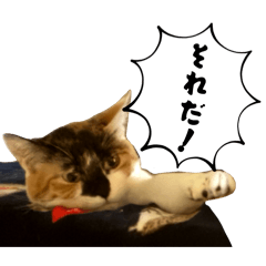 GAME86_20260424142247