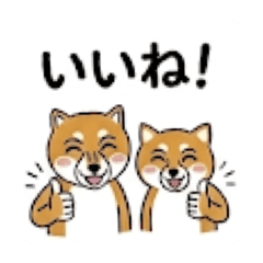 Mofuriko_20260424154439