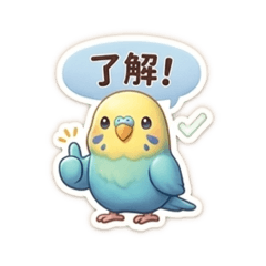 Yasu Products._20260424142717