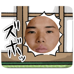 loi loi_20260424154826