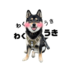 tajifam_20260424155422